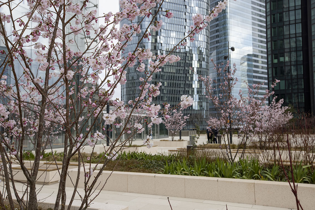 espace vert terrasse immeuble bureaux tour cb21 paris la defense